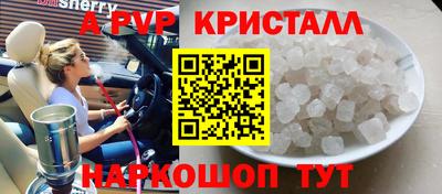 ECSTASY Аргун