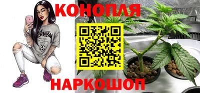 spice Апшеронск
